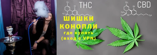 мяу мяу мука Алзамай